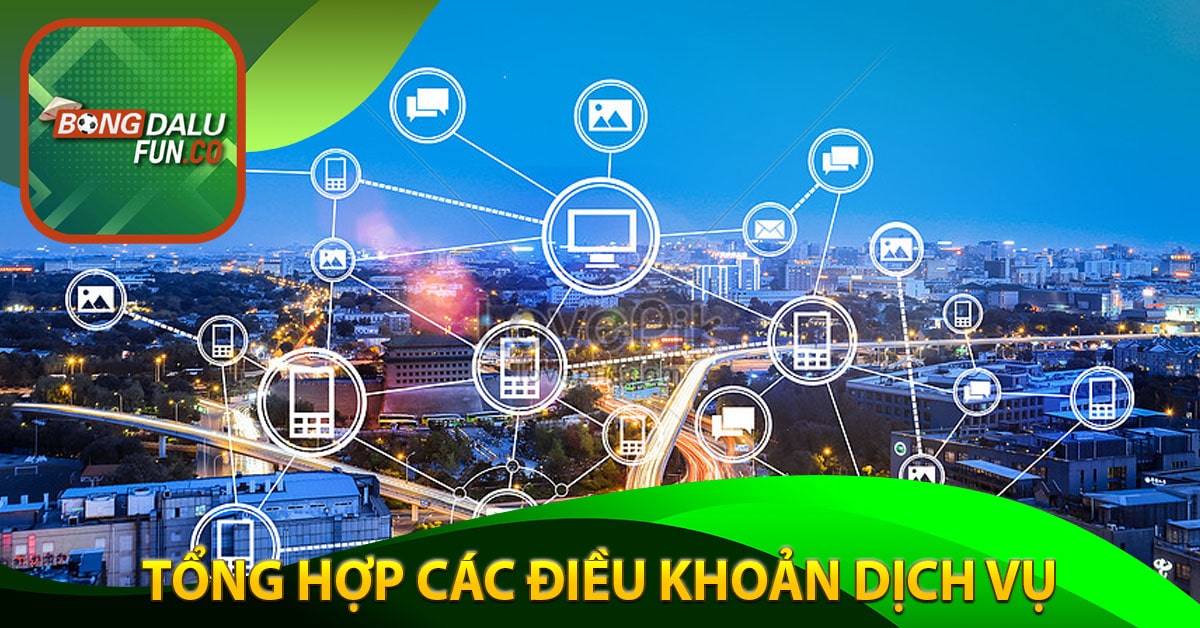 Tổng hợp các điều khoản dịch vụ bongdalu