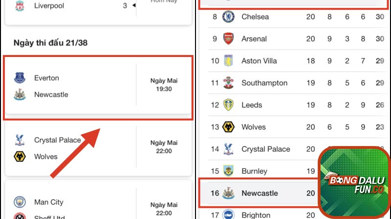 Hướng dẫn tân thủ xem lịch thi đấu Bongdalu fun