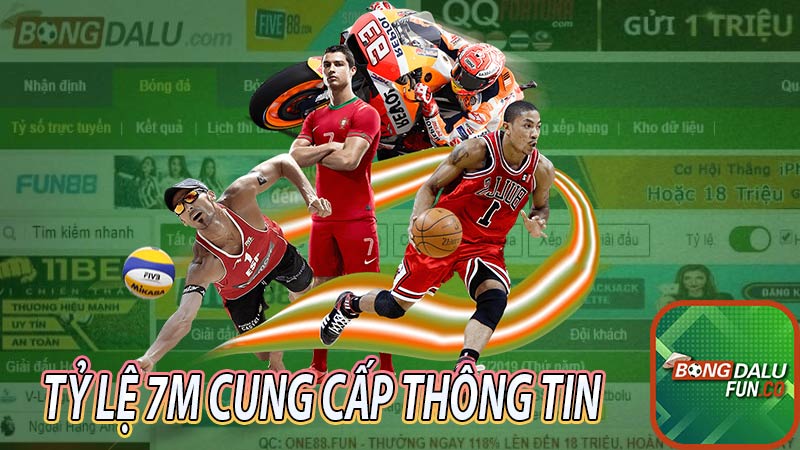 Tìm hiểu về các thông tin của chuyên mục tỷ lệ 7m cung cấp