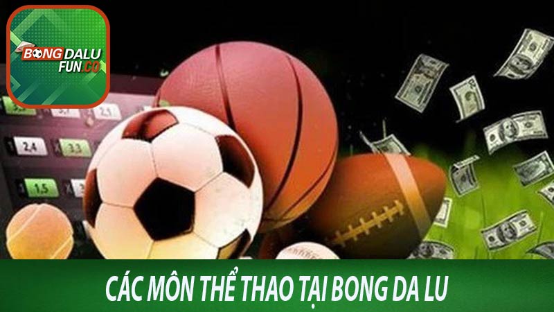 Các môn thể thao bong da lu cung cấp