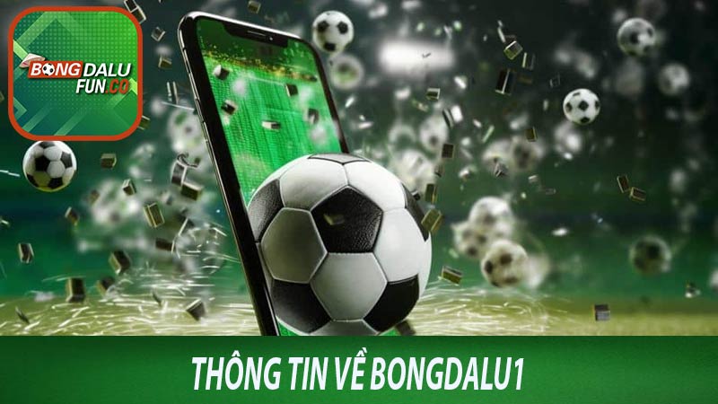 Thông tin về bongdalu1