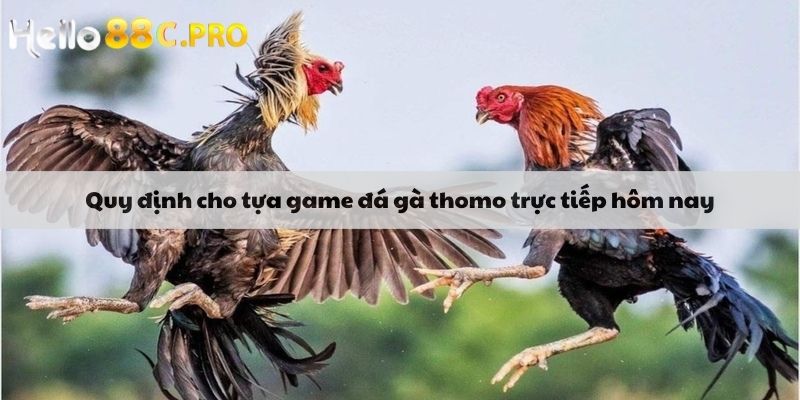 Quy định cho tựa game đá gà thomo trực tiếp hôm nay